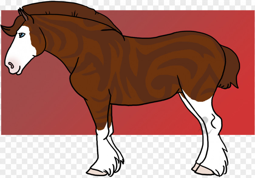 Slump Background Foal Mare Stallion Mustang Colt PNG