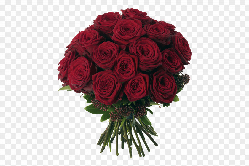 A Bouquet Of Red Roses Flower Rose Clip Art PNG