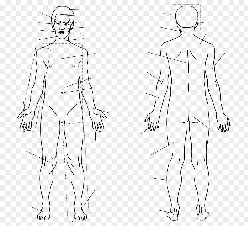 Body Human Finger Homo Sapiens Sketch PNG