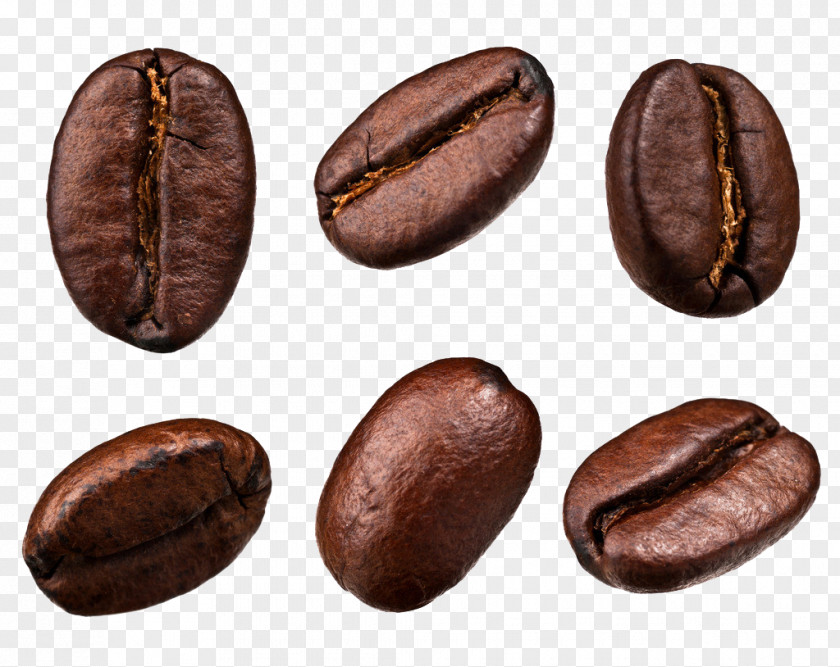 Cocoa Beans Coffee Bean Tea Cafe PNG