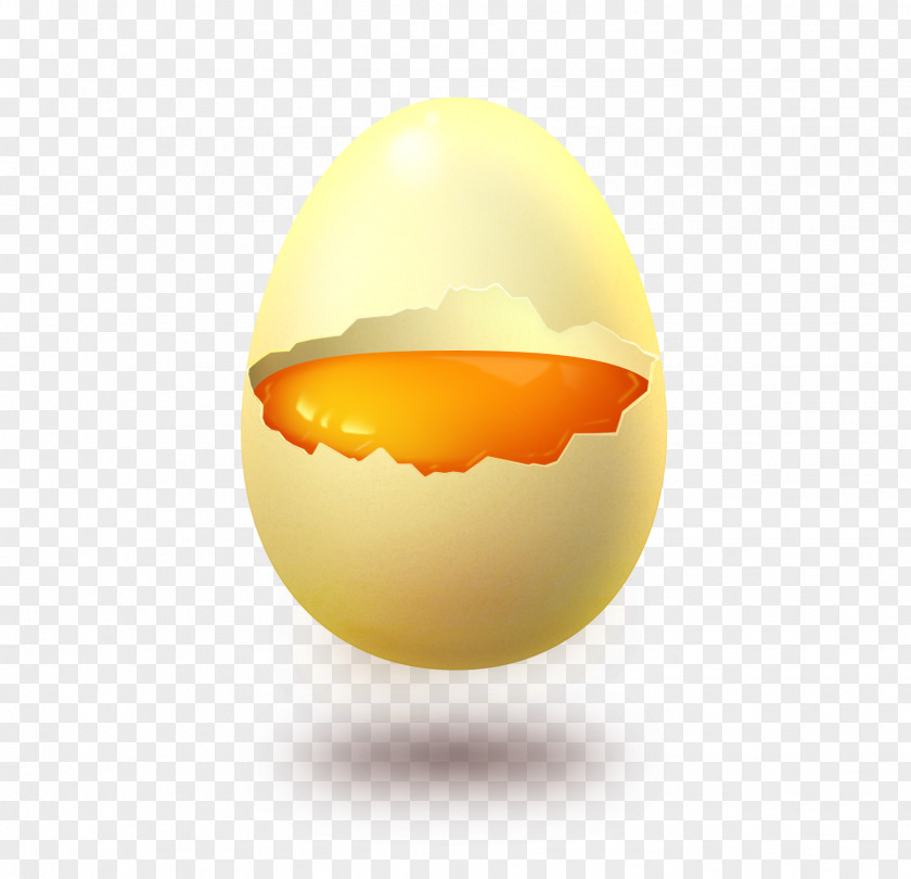 Egg Yolk Eggshell Yellow PNG