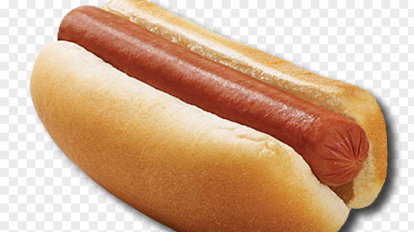 Hotdog Michigan Hot Dog Hamburger Danger French Fries PNG