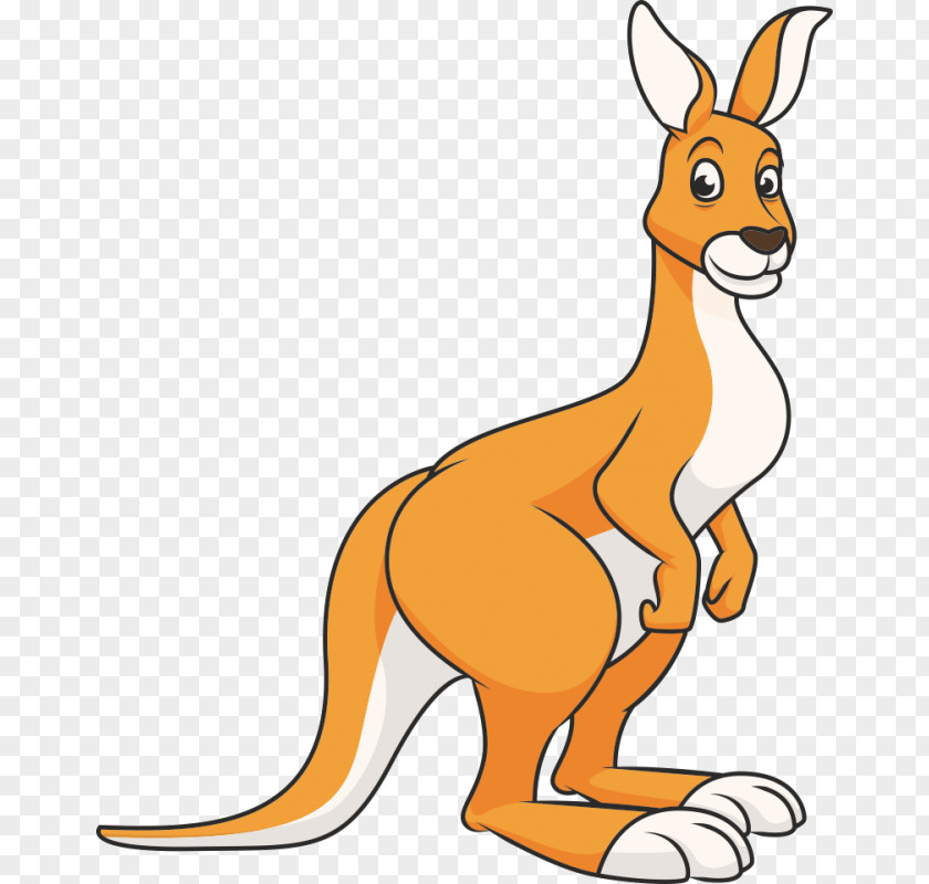 Kangaroo Red Royalty-free Clip Art PNG