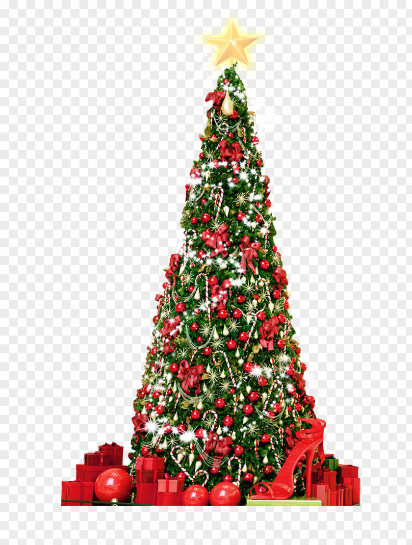 Nice Christmas Tree Gift PNG