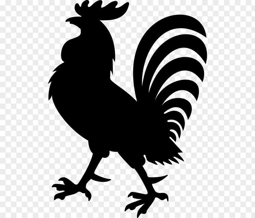 Rooster Coat Of Arms Crest Chicken PNG