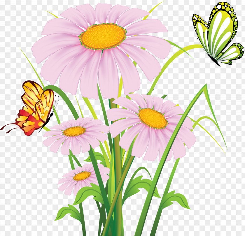 Spring Clip Art Flower Clipart Vector Graphics Floral Design Illustration PNG