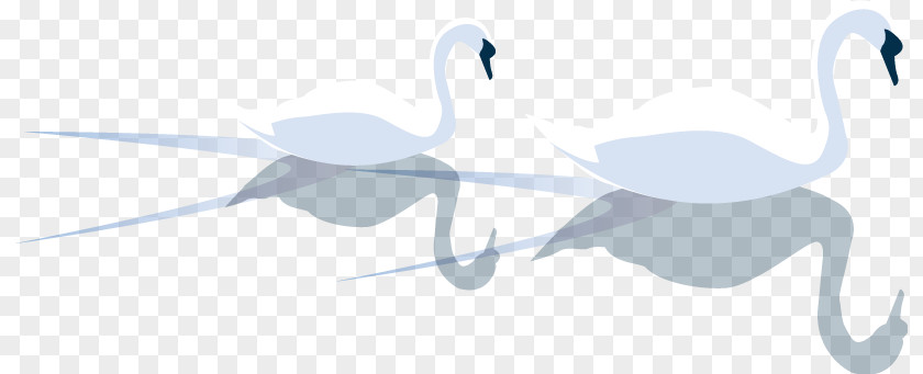 Swan Water Bird Duck Logo PNG