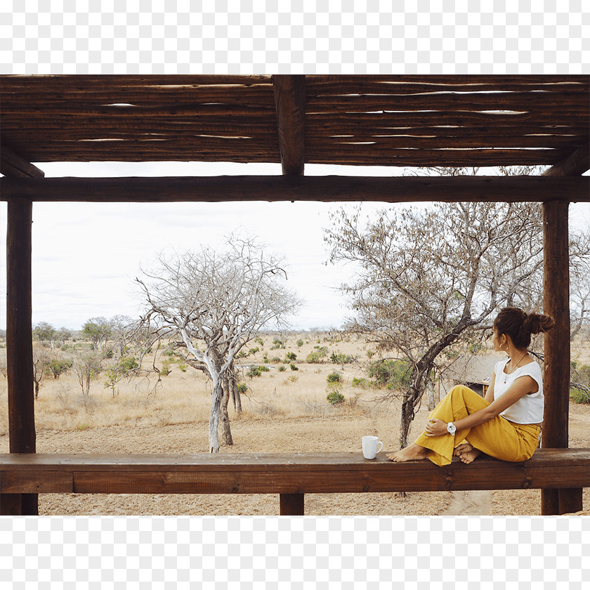 African Models Window Picture Frames Garden Furniture Rectangle PNG