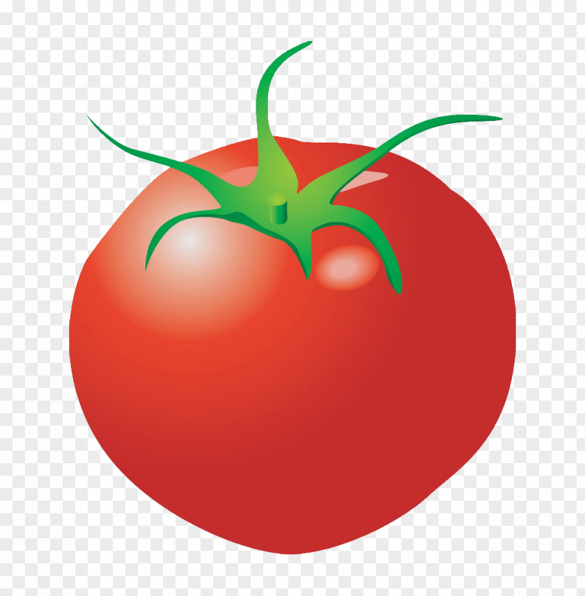 Cartoon Vegetables Tomatoes Plum Tomato Clip Art PNG