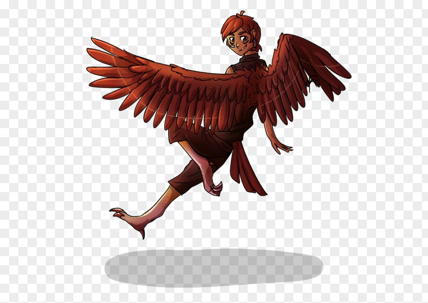 Feather Fan Bird Of Prey Beak Figurine Legendary Creature PNG