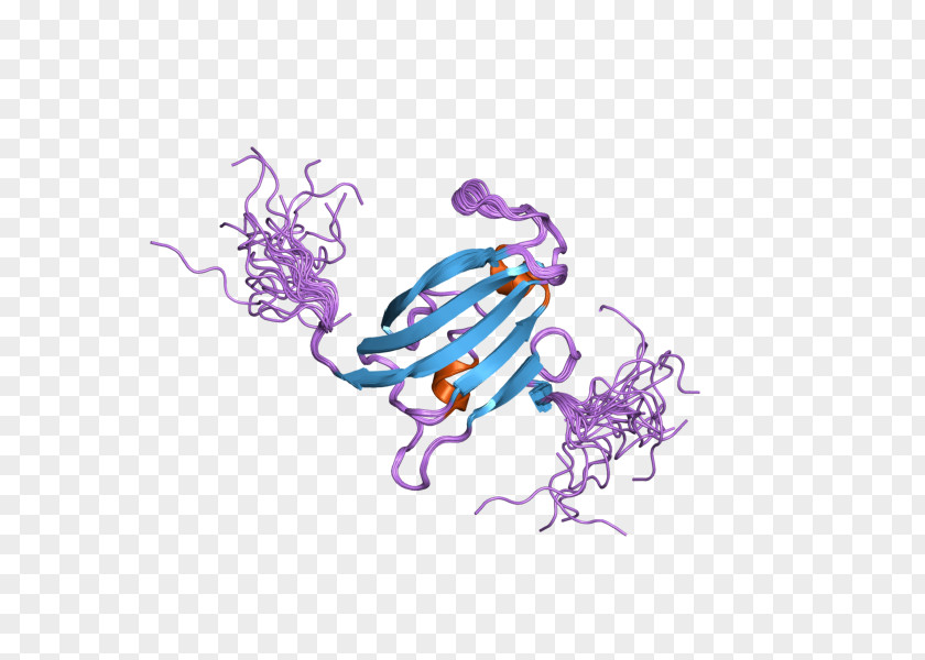 FKBP10 FKBP8 Gene Calcineurin PNG