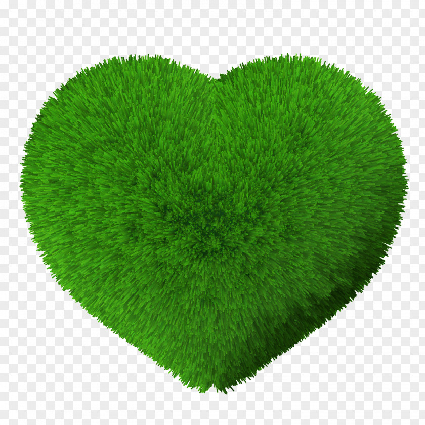 Love Grass Lawn Green Vegetation PNG