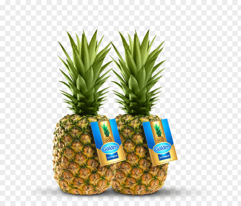 Pineapple Fruit Pitaya Camu Hass Avocado PNG