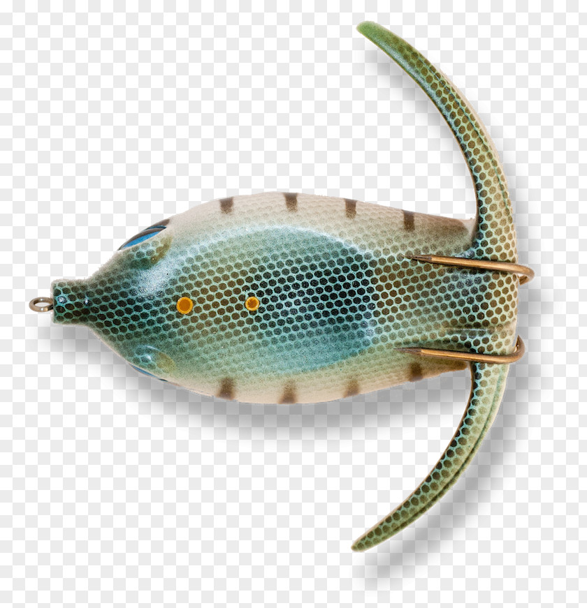 Rosheim Bony Fishes PNG