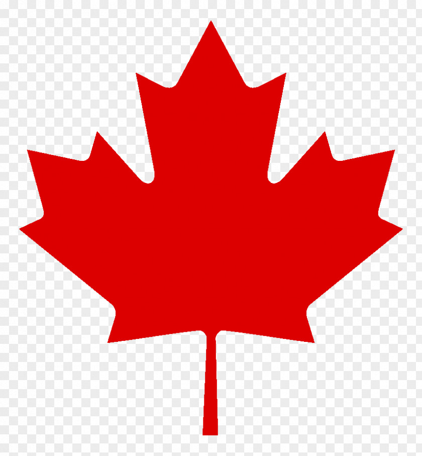 Canada Flag Of Red Maple Sugar Leaf PNG