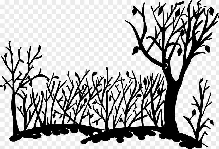 NATURE BACKGROUND Silhouette Art Drawing Clip PNG