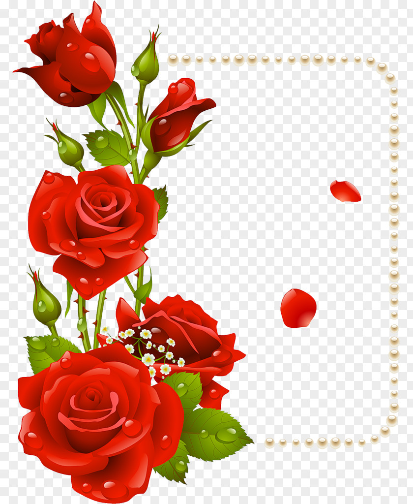Satin Flower Picture Frames Rose Clip Art PNG