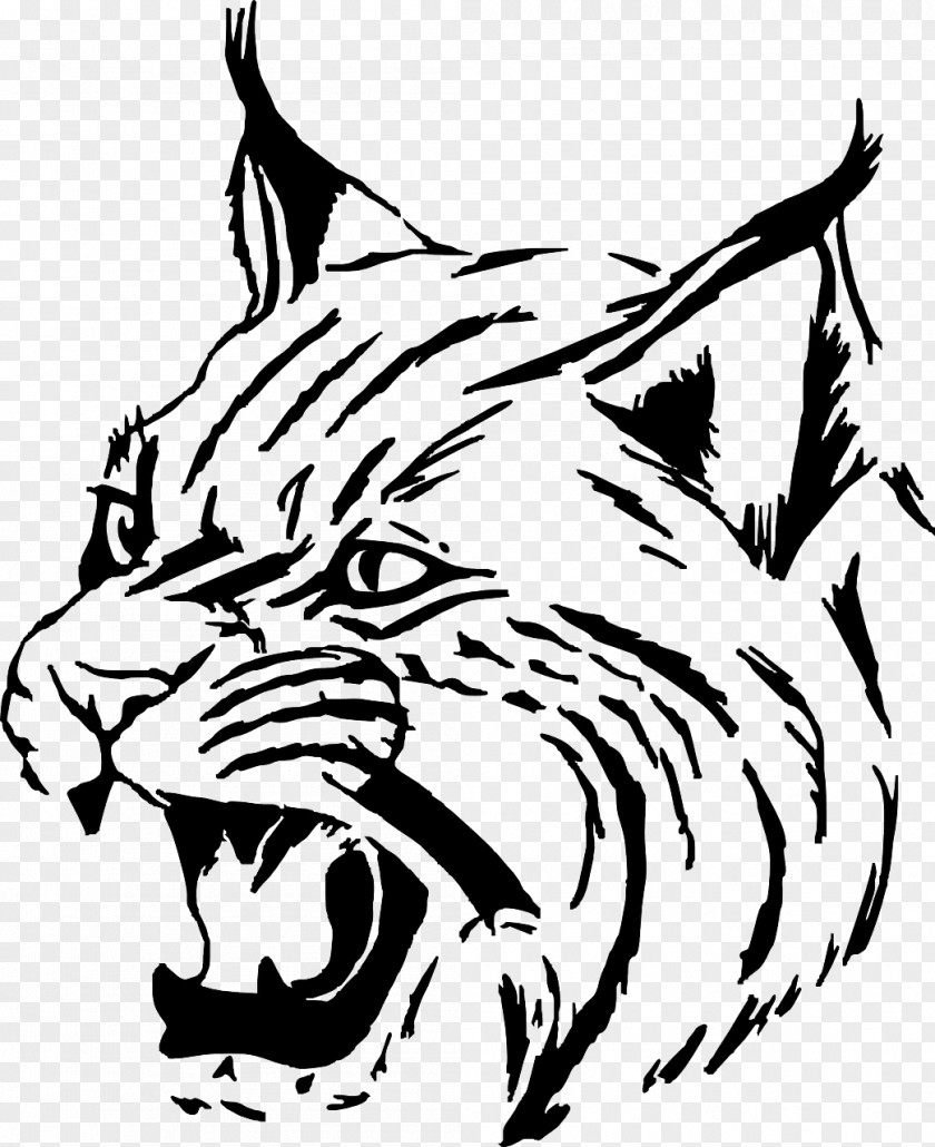 Wolf-head Bobcat Clip Art PNG