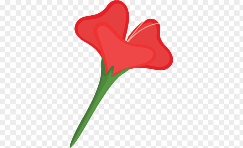 Workshop Flower Red Royalty-free PNG