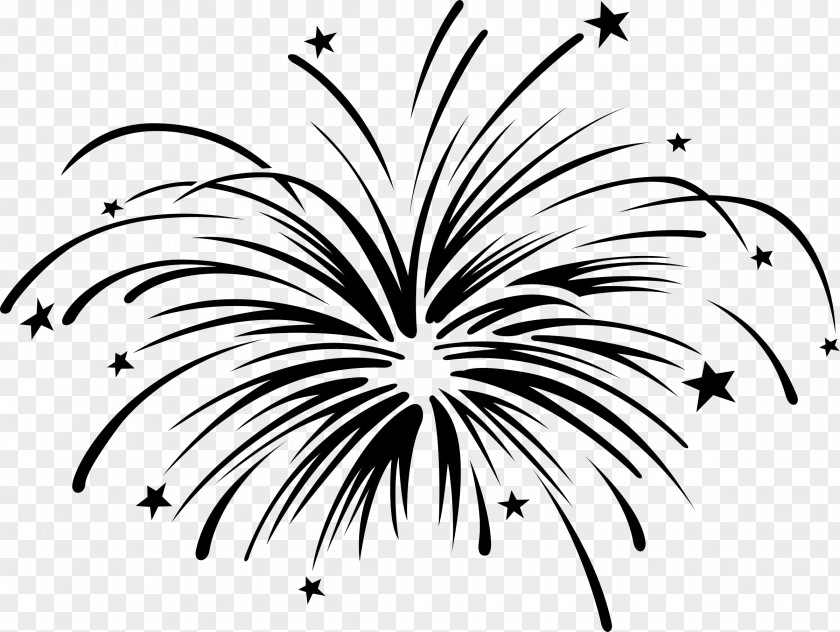 Fireworks Clip Art Black And White Image Drawing PNG