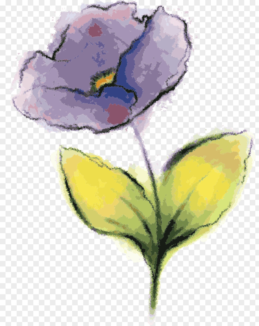 Flower Yellow Plant Petal Watercolor Paint PNG