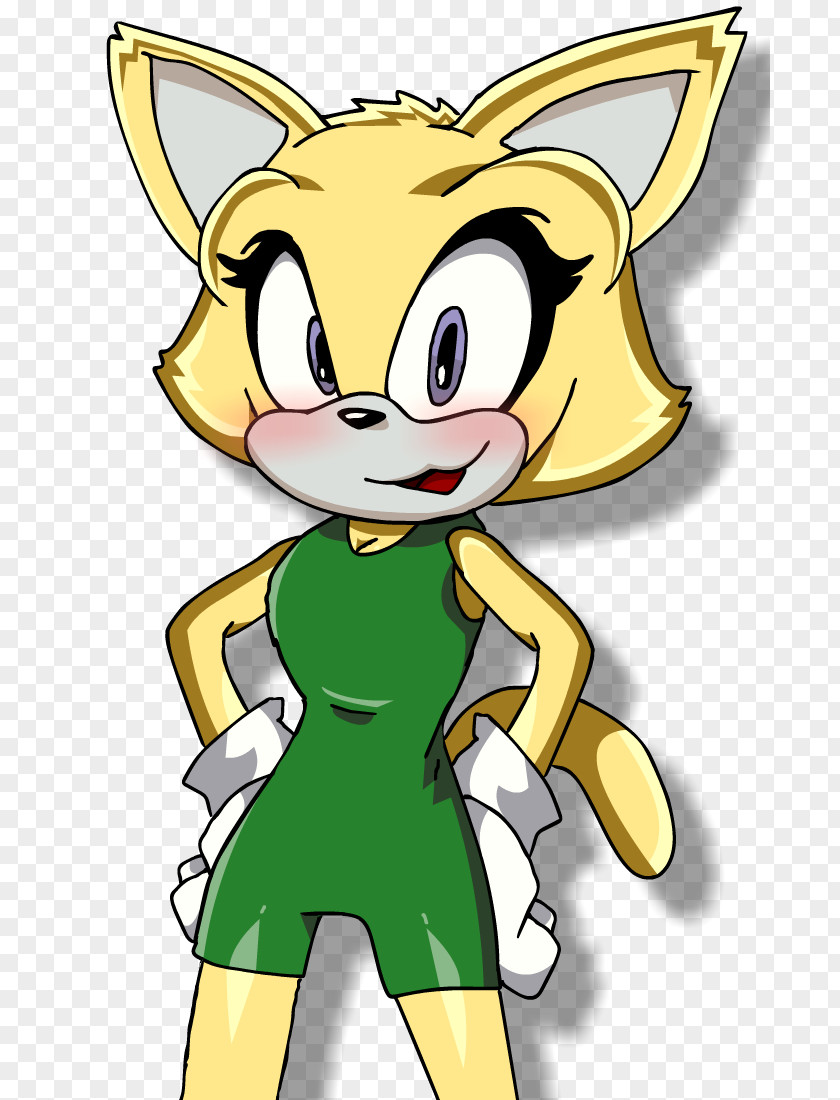 Goldie Sonic Forces The Hedgehog Shadow Nintendo Switch Tails PNG