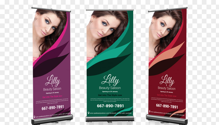 Roll-up Bundle Web Banner Hair Coloring Display Advertising PNG