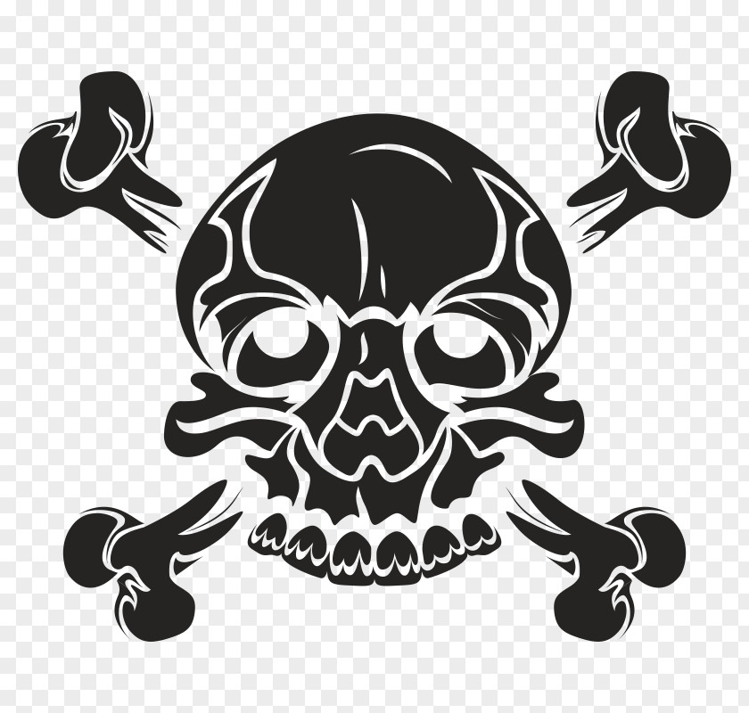 Skull Stock Photography Drawing Vector Graphics Image PNG