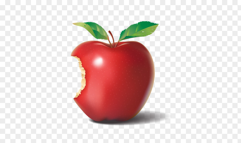 Vector Bitten Red Apple Wake Forest Meet Me At The Commons: A Field Guide To Common Core Standards In Higher Education State Initiative Learning PNG
