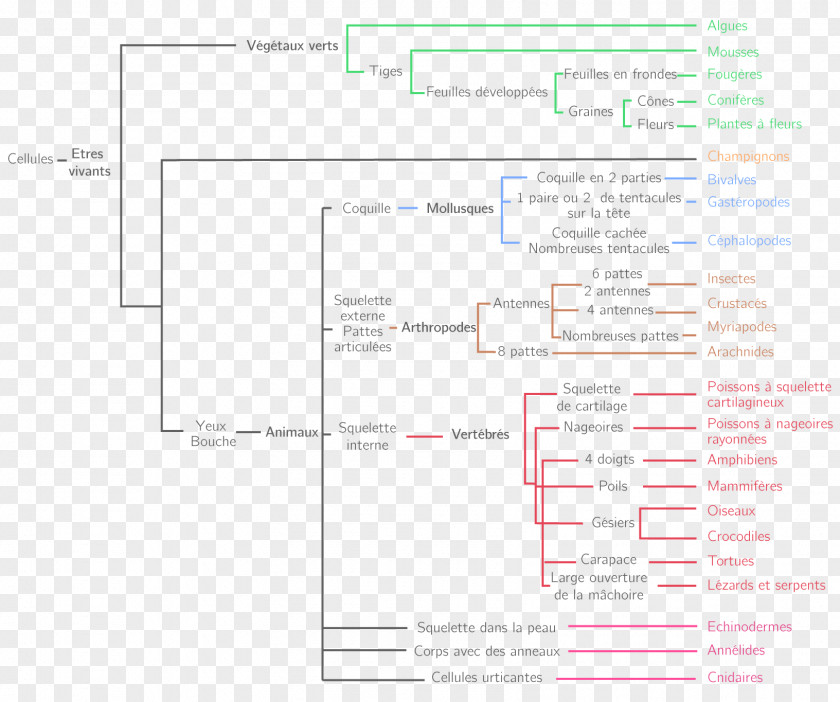 Classification La Document Line Angle PNG