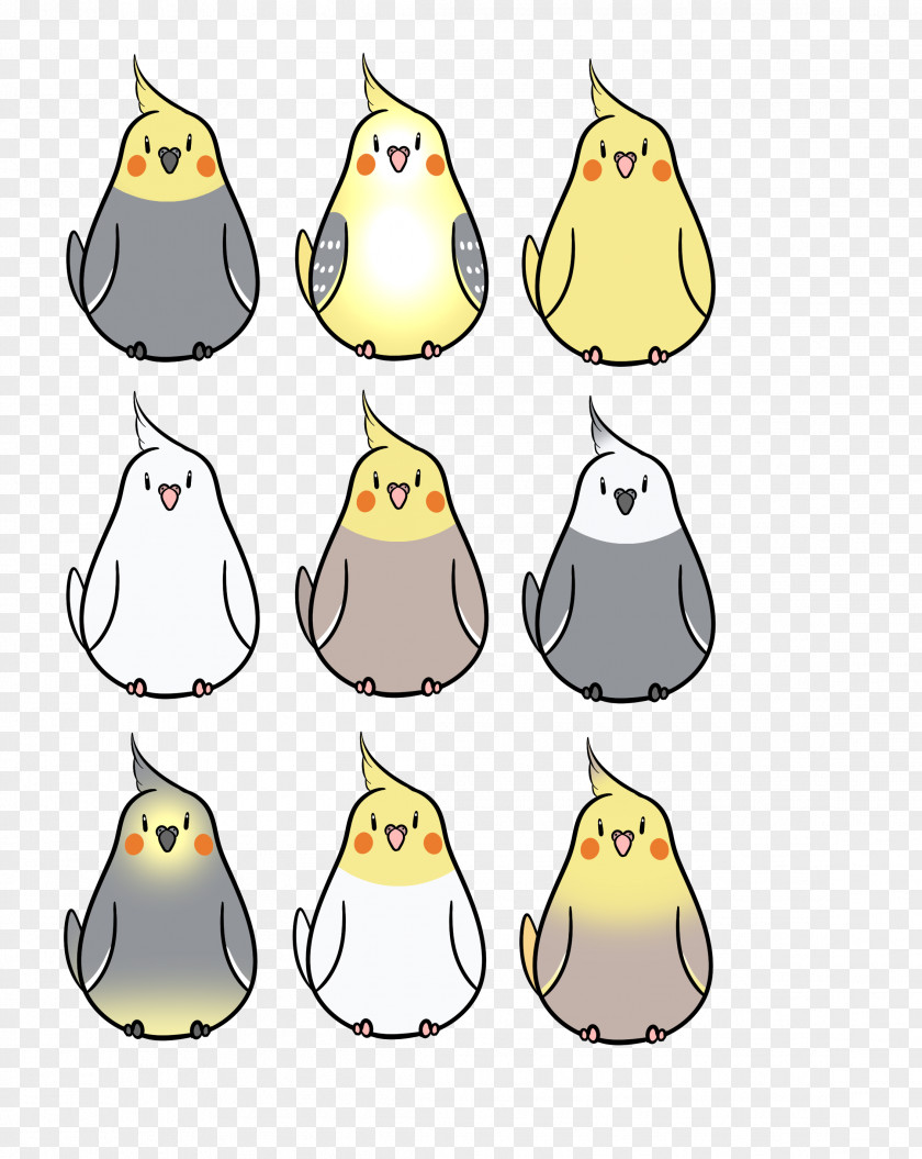 Cockatiel Lutino Bird Parrot Drawing PNG