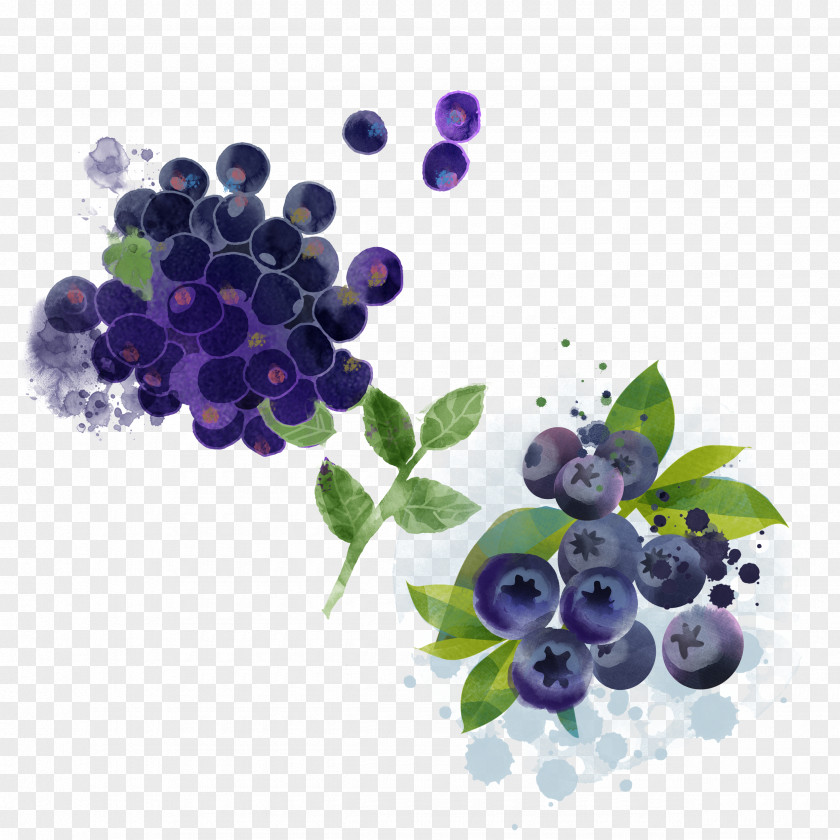 Hand-painted Blueberry Bilberry Pie Fruit PNG