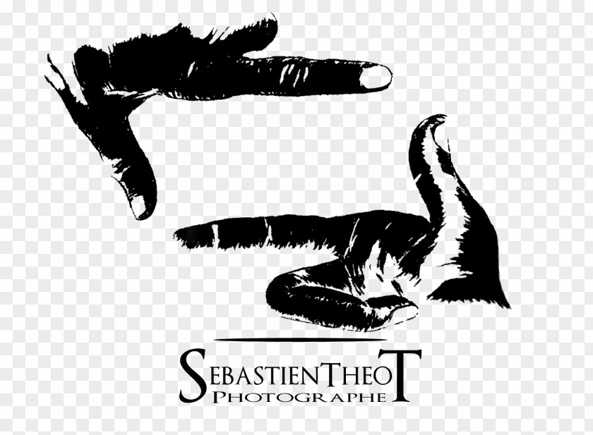 Photographe Logo Beak Finger Brand Font PNG