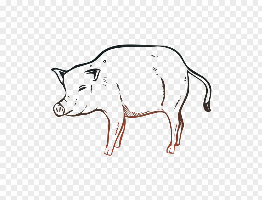 Pig Cattle Clip Art Line Cartoon PNG