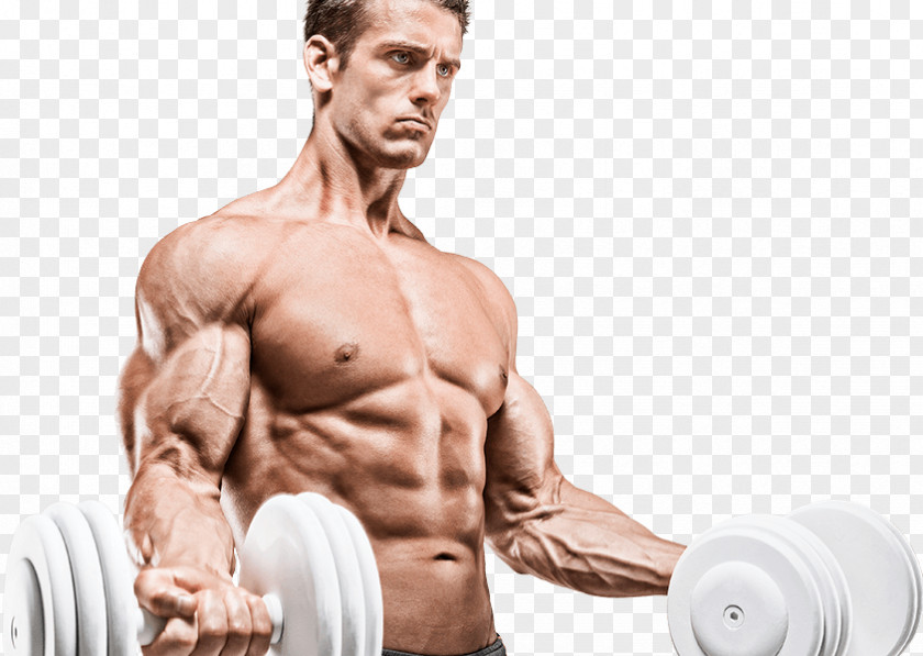 Rice Spike Testosterone Physical Fitness Anabolism Muscle Gainer PNG