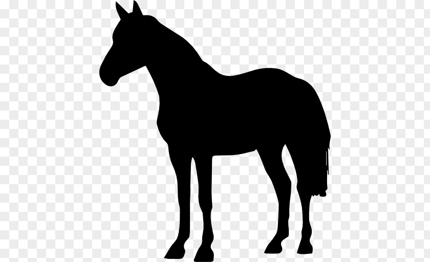 Silhouette Arabian Horse American Quarter Black Forest Friesian Paint PNG