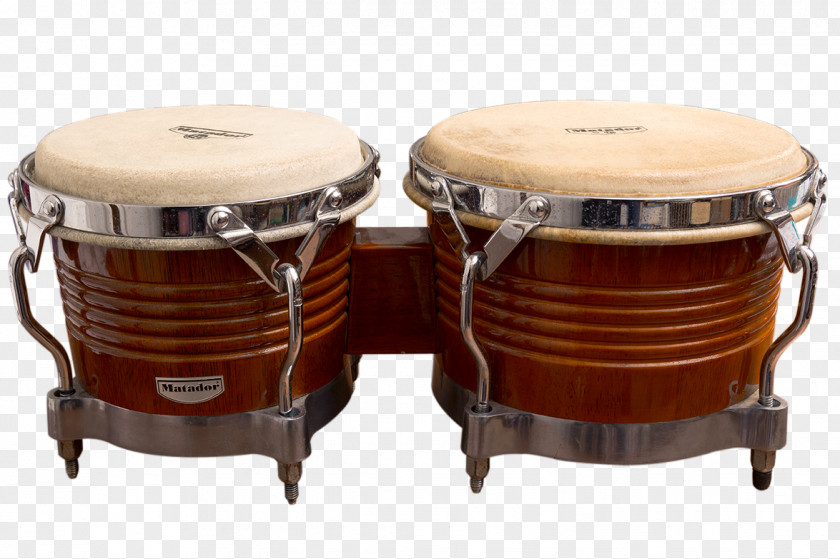 Bongo Drum Tom-Toms Timbales Hand Drums Drumhead Snare PNG