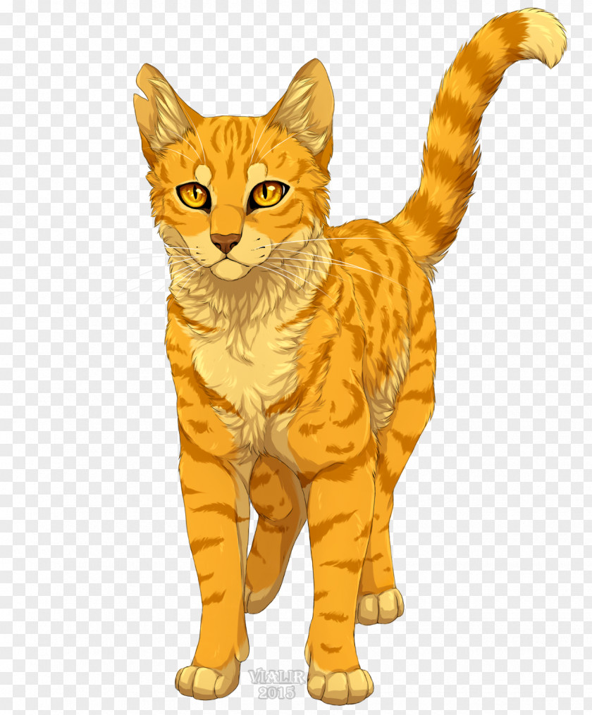 Cats Cat Warriors Lionblaze Erin Hunter Firestar PNG