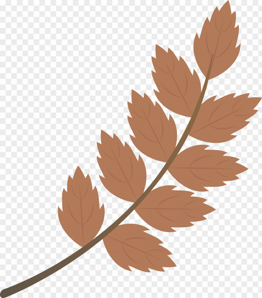 Fall Leaf Autumn PNG