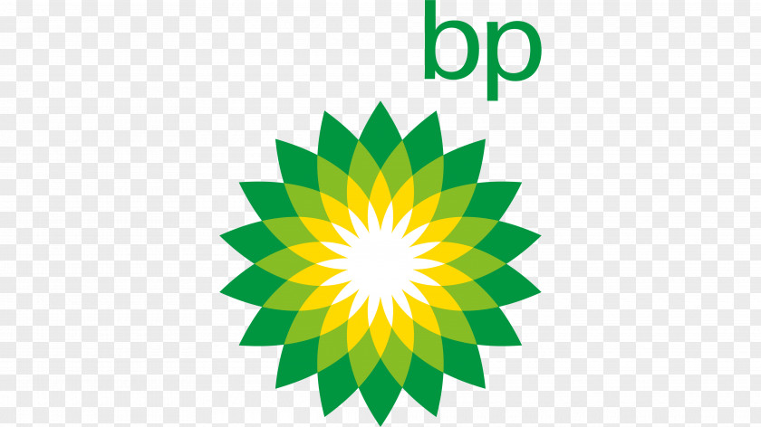 Flower Logo BP Business PNG