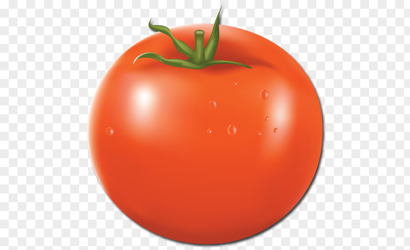 Fruit Plum Tomato Bush Diet Food PNG
