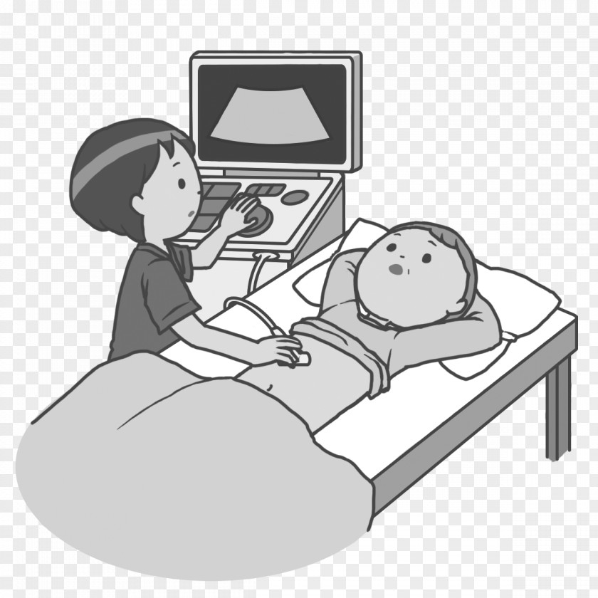 Internal Body Organs Ultrasonography Medical Laboratory Scientist Medicine Ultrasound PNG