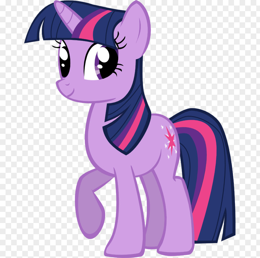 My Little Pony Twilight Sparkle Rainbow Dash Fluttershy Pinkie Pie PNG