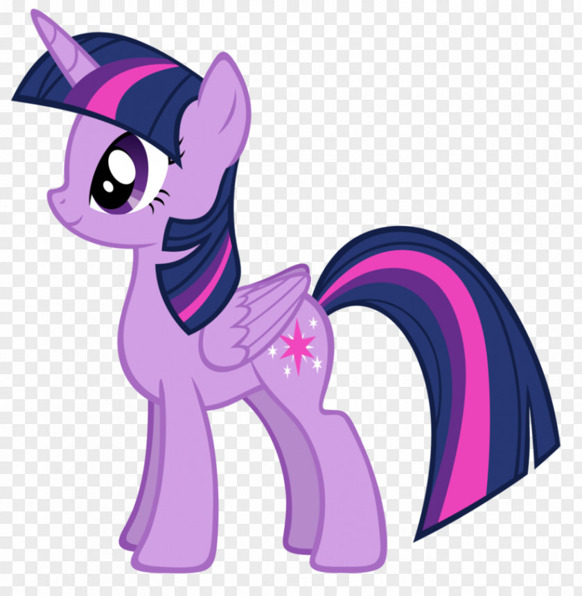 Twilight Sparkle Rainbow Dash My Little Pony Color PNG