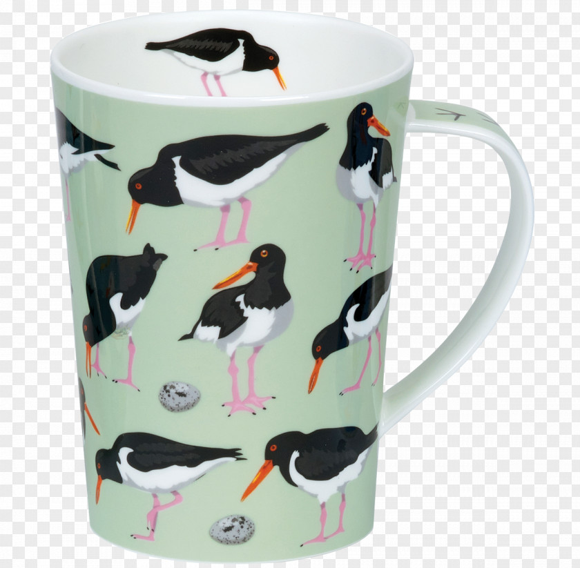 Bird Mug Coffee Cup Haematopus Argyll PNG