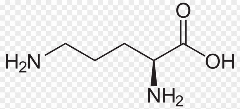 Methionine Amino Acid Glutamine Cysteine Tyrosine PNG