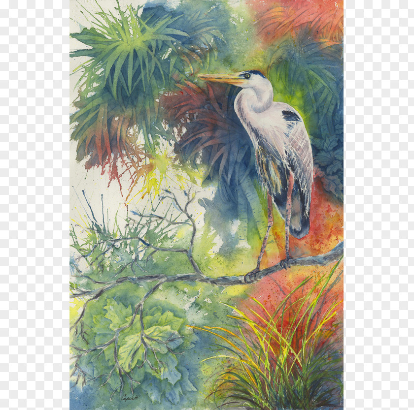 Painting Watercolor Heron 14th Annual Coral Springs Festival Of The Arts & Crafts PNG