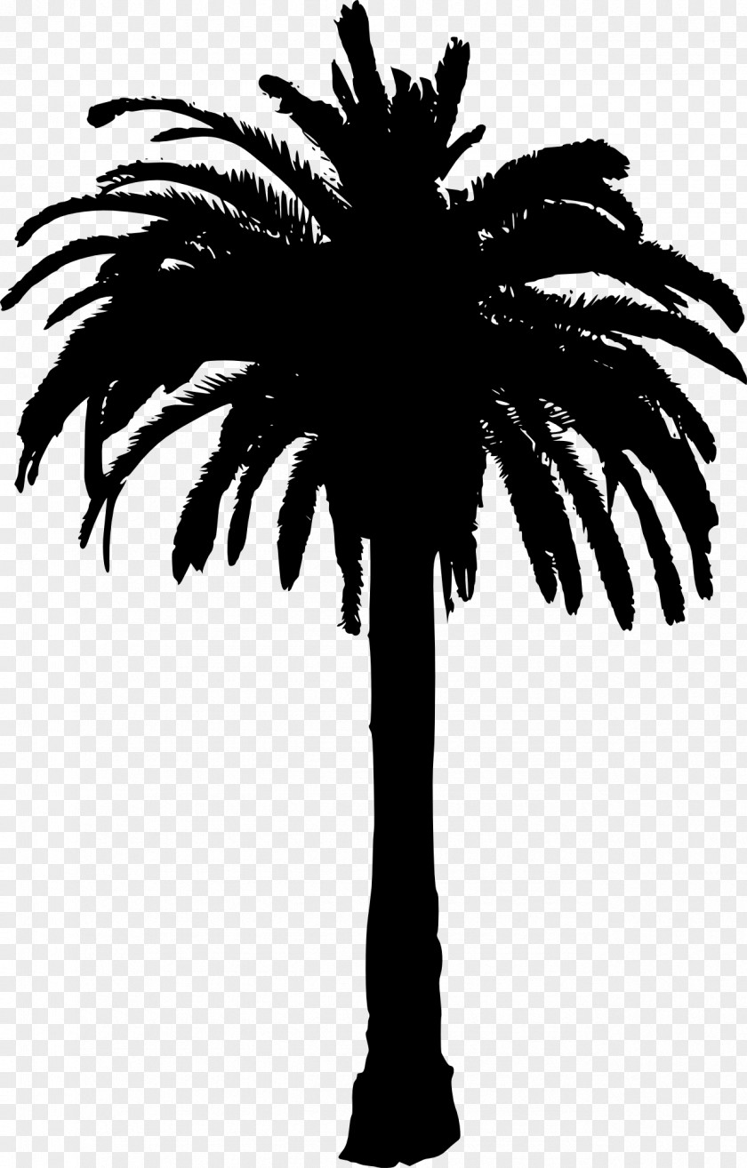 Silhouette Arecaceae Clip Art PNG