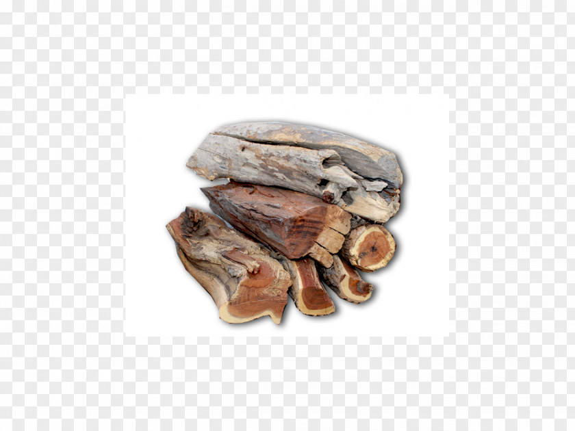 Dried Firewood Wood Drying Lumber Acacia Cyclops PNG