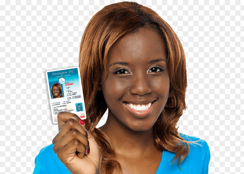 Driving Learner's Permit Driver's Education License PNG